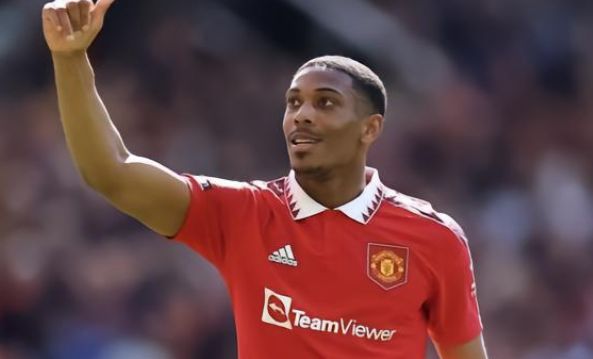 格列兹曼等 格列兹曼等